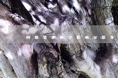 网商贷逾期过影响以后车贷吗 网商贷逾期过影响以后车贷吗