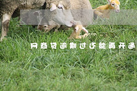 网商贷逾期过还能再开通吗