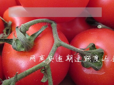 网商贷逾期过额度还会涨吗 网商贷逾期过额度还会涨吗