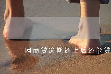 网商贷逾期还上后还能贷款吗 网商贷逾期还上后还能贷款吗