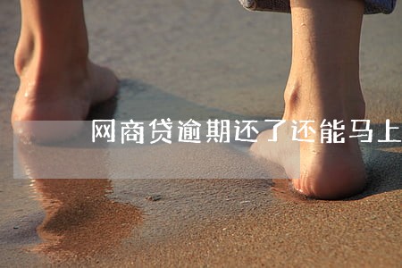 网商贷逾期还了还能马上用吗 网商贷逾期还了还能马上用吗