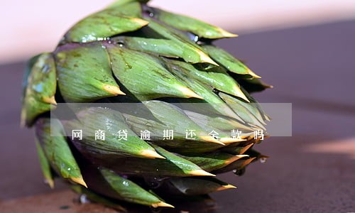 网商贷逾期还全款吗 网商贷逾期还全款吗