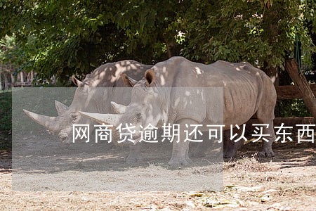 网商贷逾期还可以买东西吗 网商贷逾期还可以买东西吗