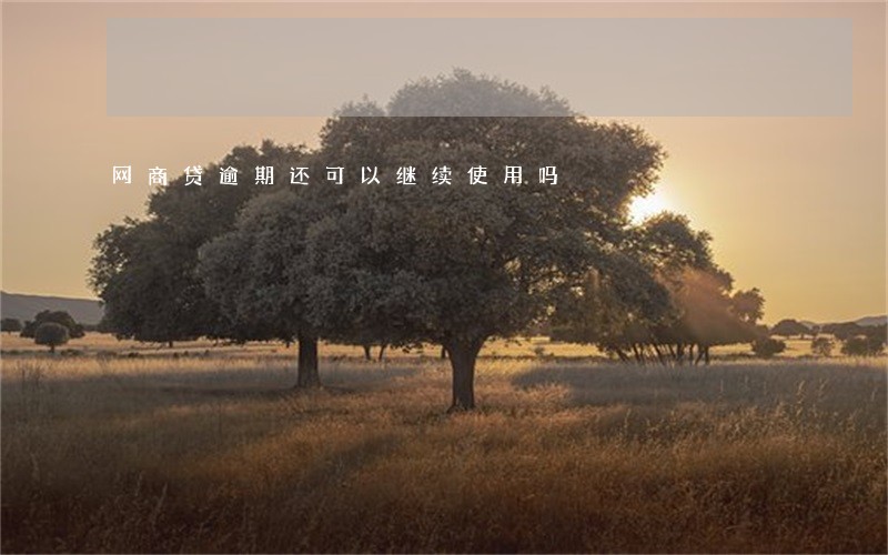 网商贷逾期还可以继续使用吗 网商贷逾期还可以继续使用吗