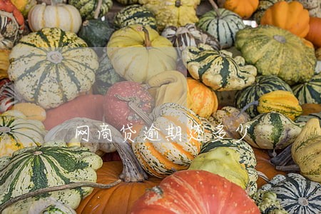 网商贷逾期还多少 网商贷逾期还多少
