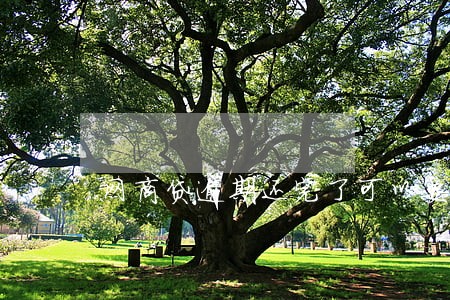 网商贷逾期还完了可以要求撤销 网商贷逾期还完了可以要求撤销