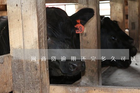 网商贷逾期还完多久可以用 网商贷逾期还完多久可以用