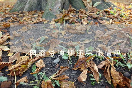 网商贷逾期还完能借吗 网商贷逾期还完能借吗
