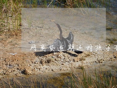 网商贷逾期还对孩子有影响吗 网商贷逾期还对孩子有影响吗