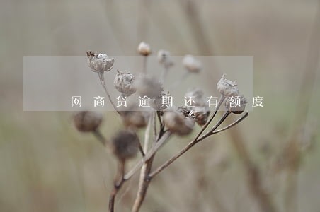 网商贷逾期还有额度 网商贷逾期还有额度