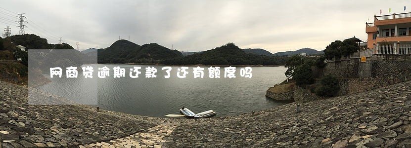 网商贷逾期还款了还有额度吗