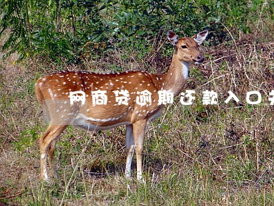 网商贷逾期还款入口关了