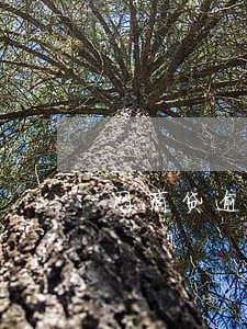 网商贷逾期还款后额度 网商贷逾期还款后额度