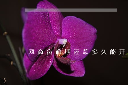 网商贷逾期还款多久能开通 网商贷逾期还款多久能开通