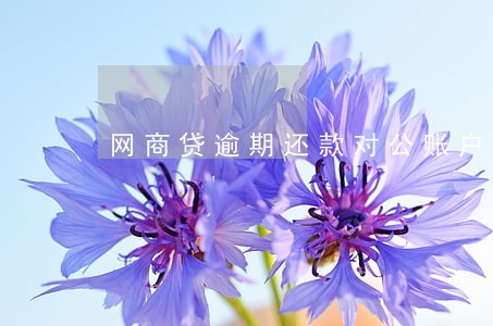 网商贷逾期还款对公账户 网商贷逾期还款对公账户