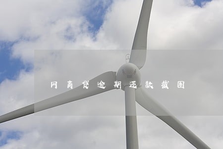 网商贷逾期还款截图 网商贷逾期还款截图