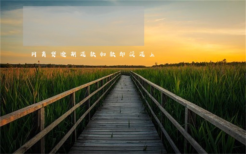 网商贷逾期还款扣款却没还上 网商贷逾期还款扣款却没还上