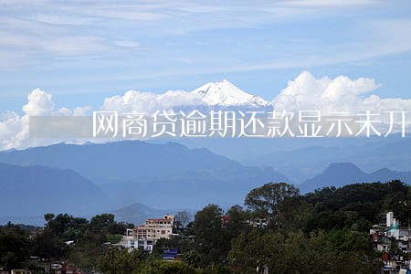 网商贷逾期还款显示未开放 网商贷逾期还款显示未开放