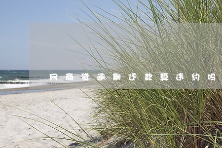 网商贷逾期还款算违约吗 网商贷逾期还款算违约吗