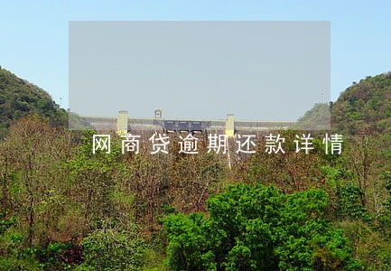网商贷逾期还款详情 网商贷逾期还款详情