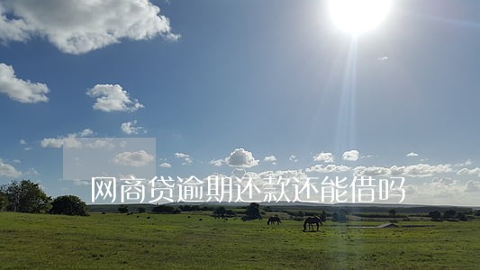 网商贷逾期还款还能借吗 网商贷逾期还款还能借吗