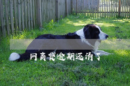 网商贷逾期还清了 网商贷逾期还清了