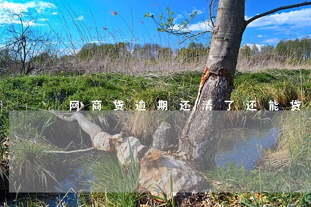 网商贷逾期还清了还能贷吗 网商贷逾期还清了还能贷吗