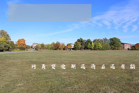网商贷逾期还清后还有额度吗