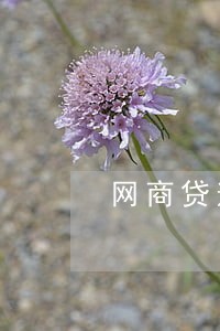 网商贷逾期还清多久恢复 网商贷逾期还清多久恢复