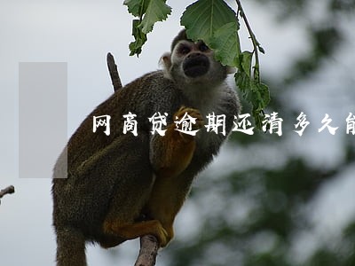 网商贷逾期还清多久能用 网商贷逾期还清多久能用