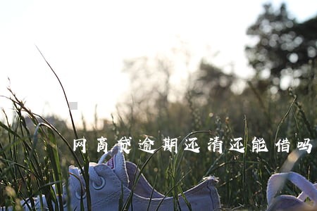 网商贷逾期还清还能借吗 网商贷逾期还清还能借吗