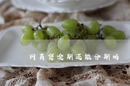 网商贷逾期还能分期吗 网商贷逾期还能分期吗