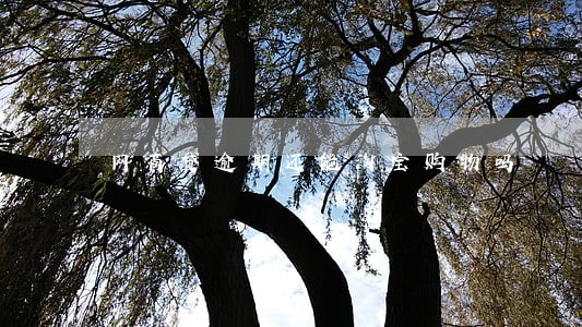网商贷逾期还能淘宝购物吗 网商贷逾期还能淘宝购物吗