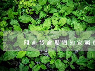 网商贷逾期通知家属违法 网商贷逾期通知家属违法