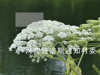 网商贷逾期通知村委 网商贷逾期通知村委