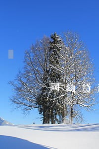 网商贷逾期逾期上门 网商贷逾期逾期上门