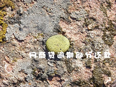 网商贷逾期部分还款 网商贷逾期部分还款