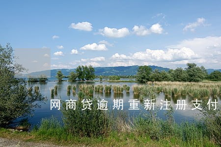 网商贷逾期重新注册支付宝会秒扣 网商贷逾期重新注册支付宝会秒扣