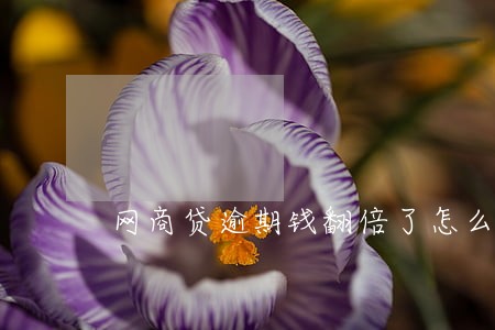 网商贷逾期钱翻倍了怎么弄 网商贷逾期钱翻倍了怎么弄