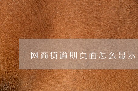 网商贷逾期页面怎么显示 网商贷逾期页面怎么显示