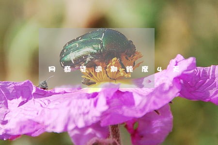 网商贷逾期额度4天 网商贷逾期额度4天