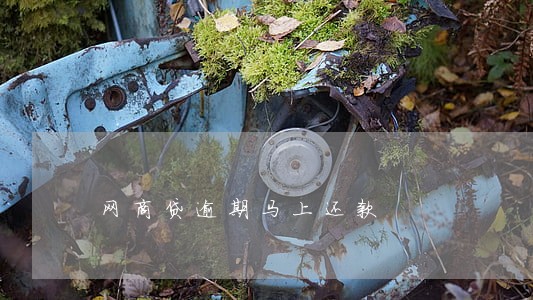 网商贷逾期马上还款 网商贷逾期马上还款