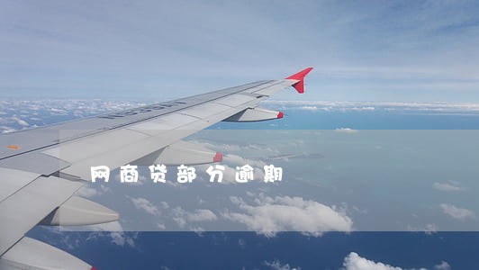 网商贷部分逾期 网商贷部分逾期