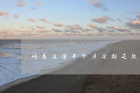 网商连续半个月逾期还款 网商连续半个月逾期还款