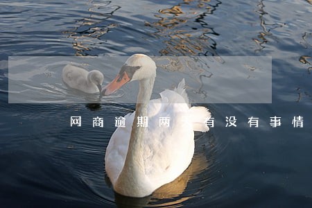 网商逾期两天有没有事情 网商逾期两天有没有事情