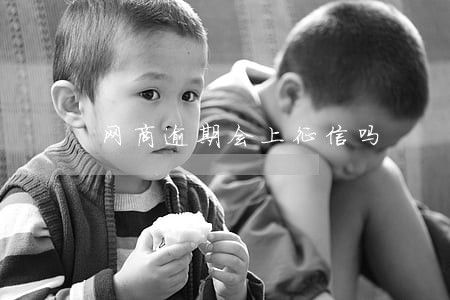 网商逾期会上征信吗 网商逾期会上征信吗