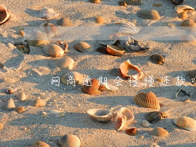 网商逾期会慢慢还款吗 网商逾期会慢慢还款吗