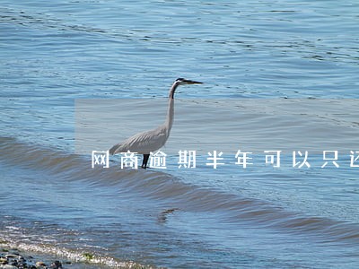 网商逾期半年可以只还本金吗 网商逾期半年可以只还本金吗