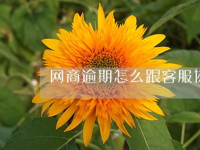 网商逾期怎么跟客服协商 网商逾期怎么跟客服协商
