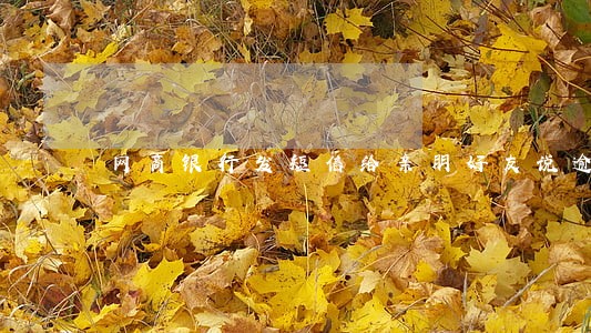 网商银行发短信给亲朋好友说逾期 网商银行发短信给亲朋好友说逾期